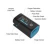 CREATIVE MEDICAL OXYMETRE DE POULS ADULTE/PEDIATRIQUE PC-60F NOIR/TURQUOISE  "NTPC60F – Image 2