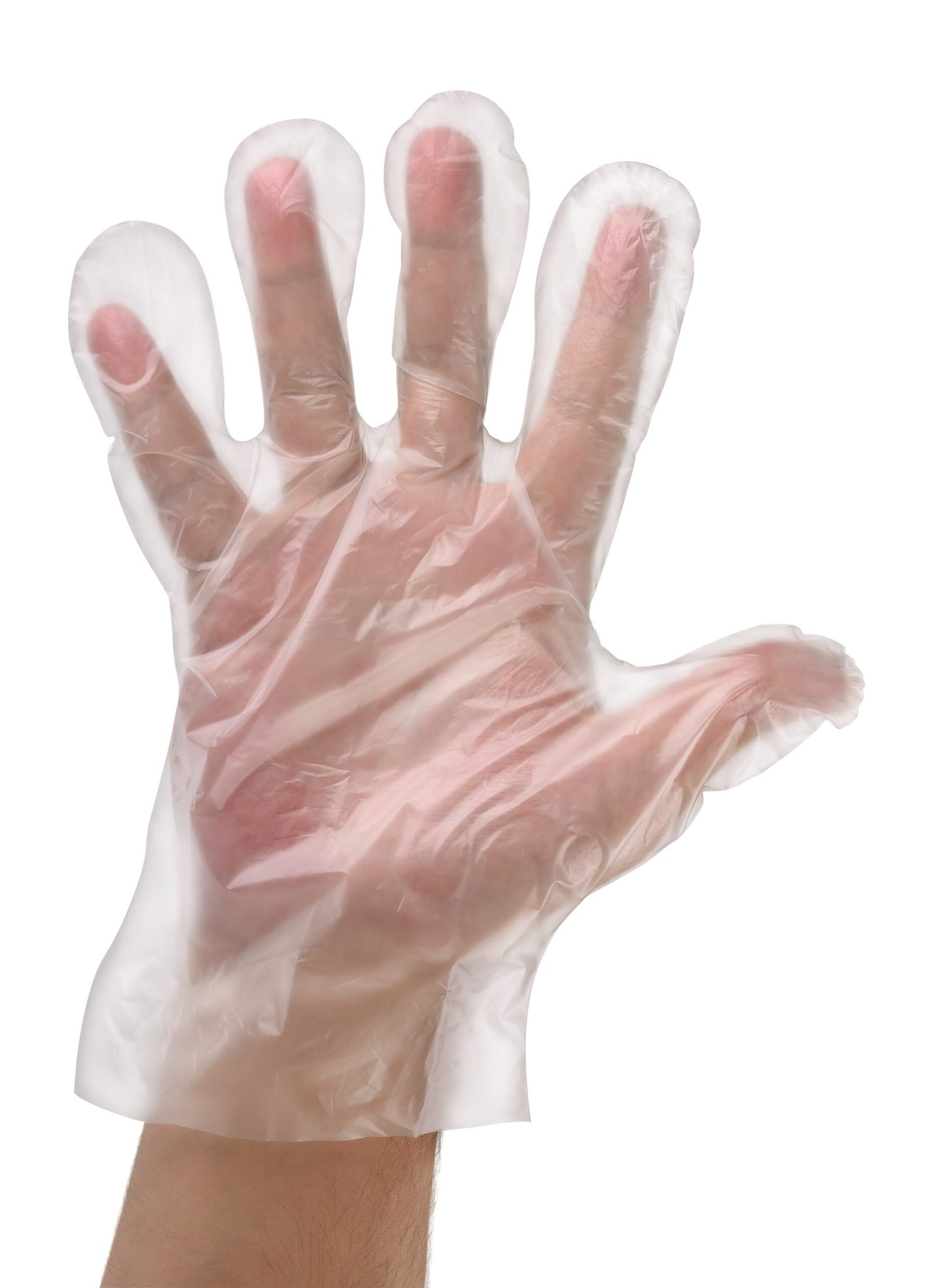 F.BOSCH GANTS POLYETHYLENE HAUTE DENSITE TRANSPARENTS TAILLE L  "FBPRCL1015